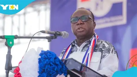 Former National Chairman, NPP